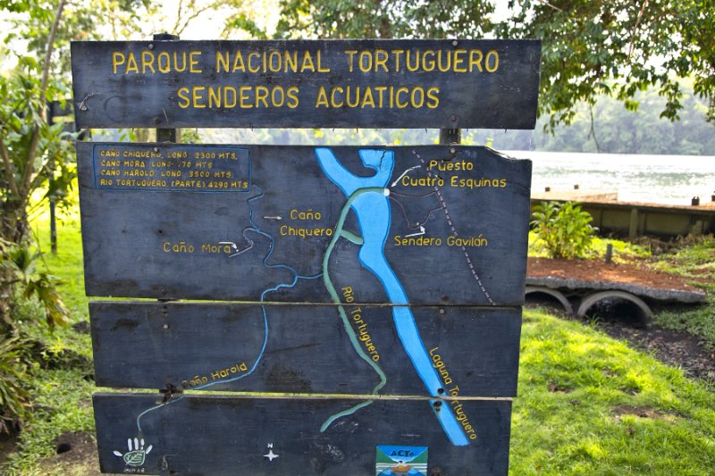_MG_4738.jpg - Tortuguero National Park