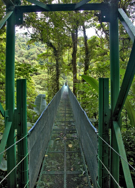 _MG_5044.jpg - Monteverde Cloud Forest