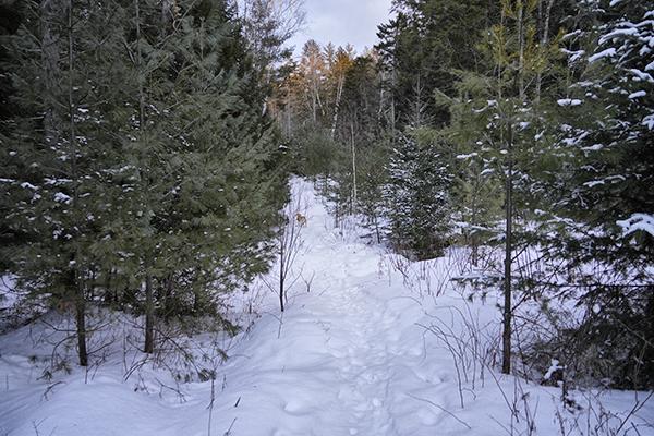 _DSC0107 copy.jpg