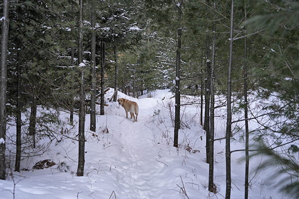 _DSC0112 copy.jpg