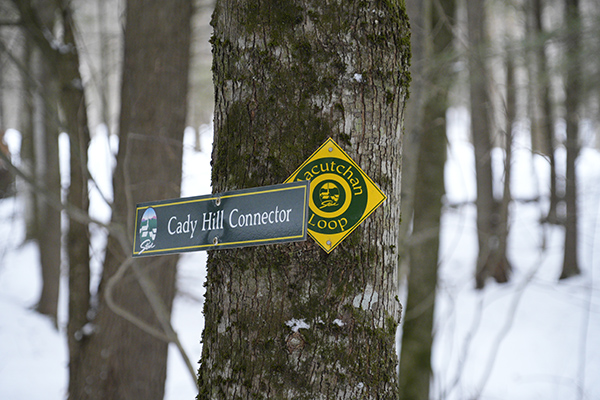 _DSC0154 copy.jpg