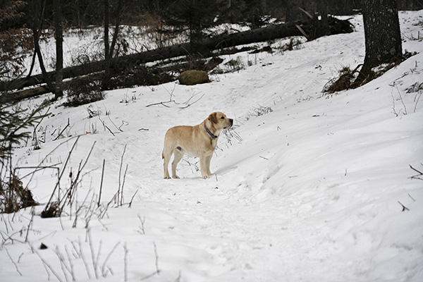 _DSC0160.JPG
