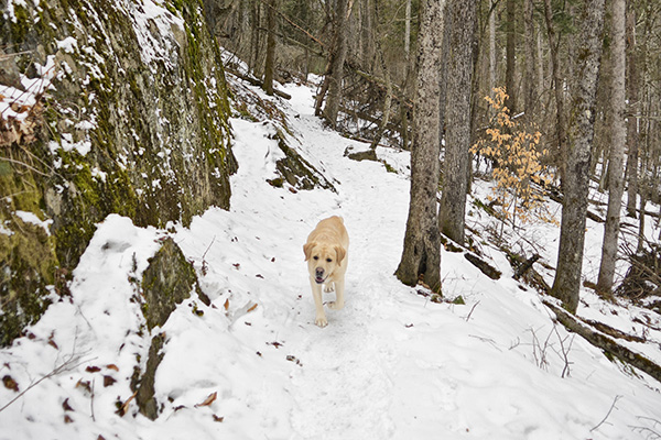 _DSC0178.JPG