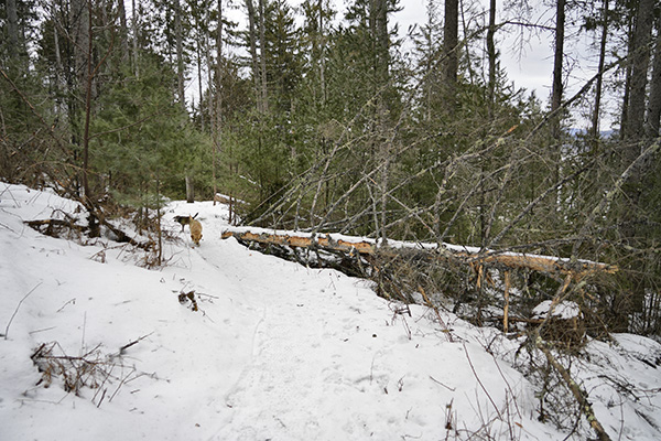 _DSC0185.JPG