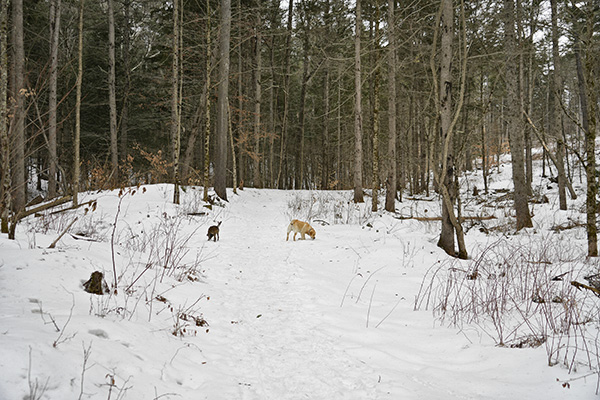 _DSC0194.JPG