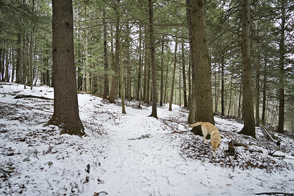 _DSC0210.JPG
