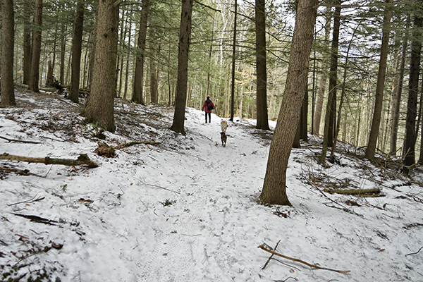 _DSC0211 copy.jpg