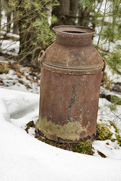_DSC0212.JPG