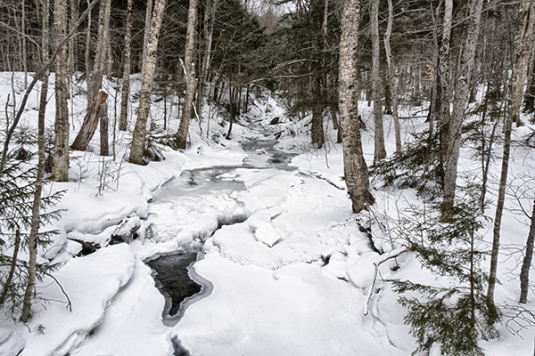 _DSC7841 copy.jpg