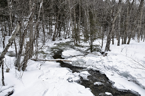 _DSC7862 copy.jpg