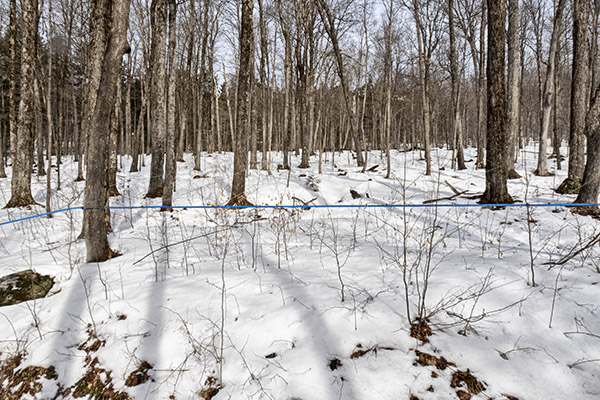 _DSC7873 copy.jpg