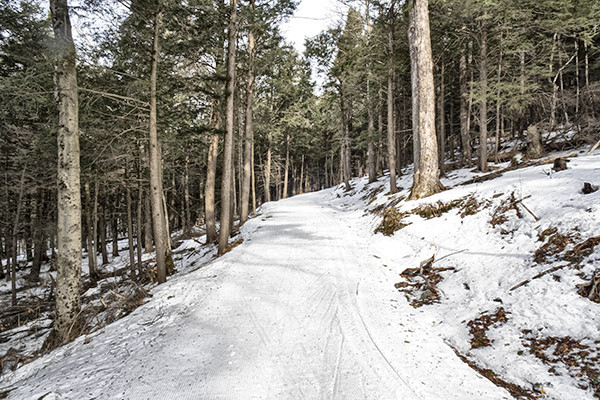 _DSC7876 copy.jpg