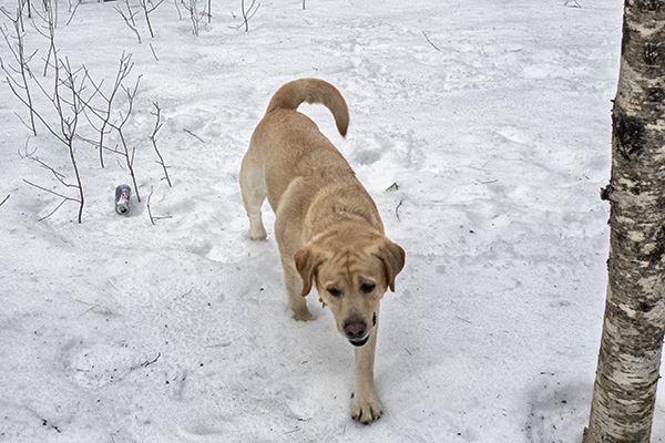 _DSC7878 copy.jpg