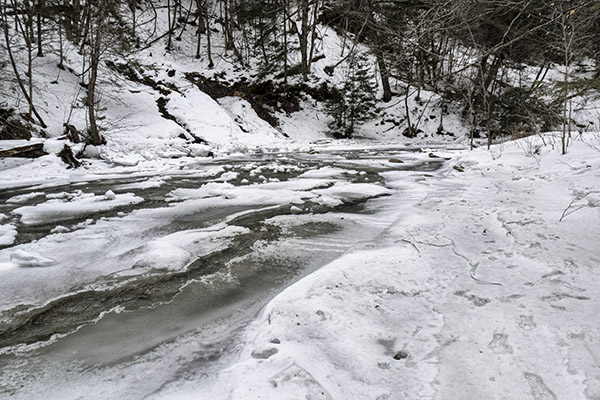 _DSC7895 copy.jpg