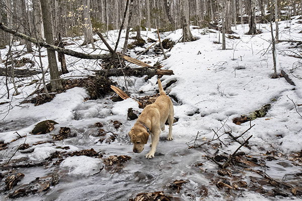 _DSC7899 copy.jpg
