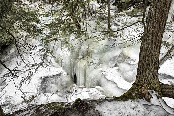 _DSC7906 copy.jpg
