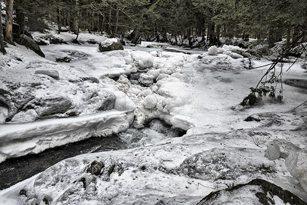 _DSC7915 copy.jpg