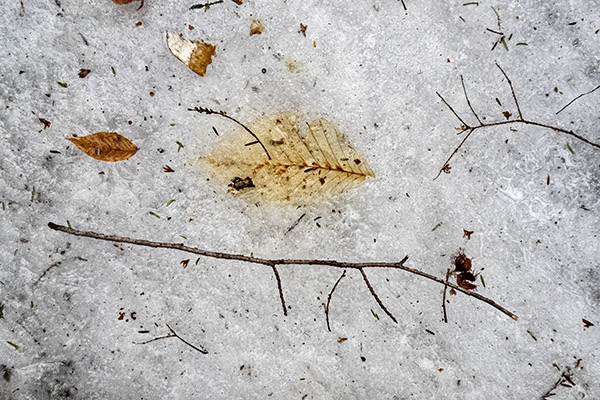 _DSC7939 copy.jpg
