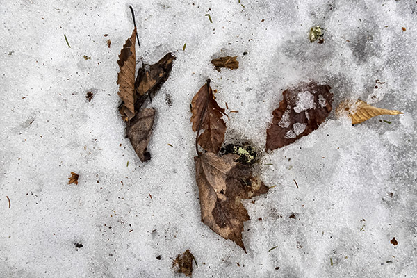 _DSC7945 copy.jpg