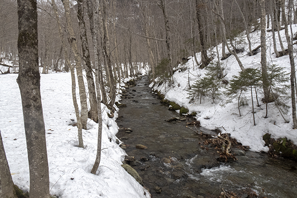 _DSC8001.jpg