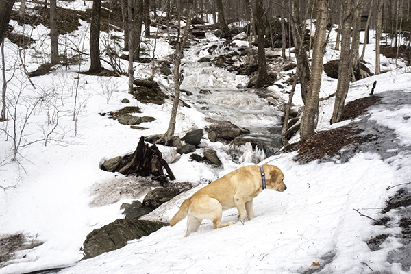 _DSC8024.jpg