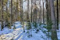 IMG_20220224_083411
