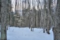 _DSC0122 copy
