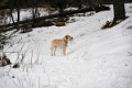 _DSC0160