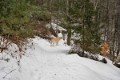 _DSC0170