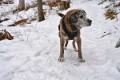 _DSC0174