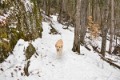 _DSC0178