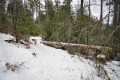 _DSC0185