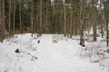 _DSC0194