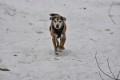 _DSC0199