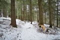 _DSC0210