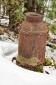 _DSC0212