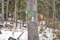 _DSC0217