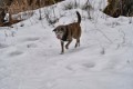 _DSC0219