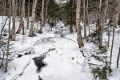 _DSC7841 copy