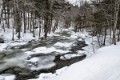 _DSC7867 copy