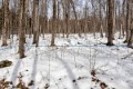_DSC7873 copy