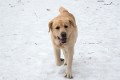 _DSC7984