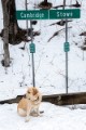 _DSC8007