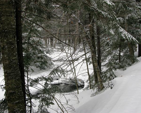 IMG_2083.JPG
