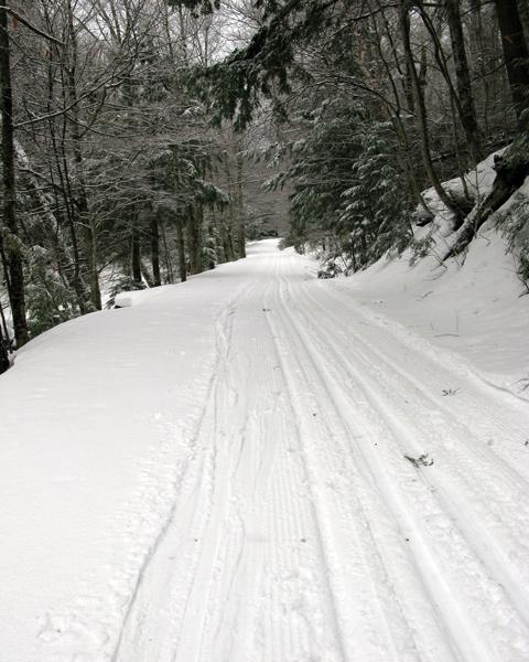 IMG_2090.JPG