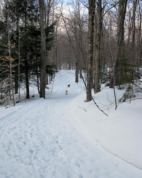IMG_2150.JPG