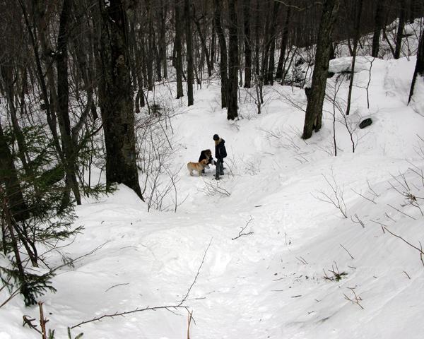 IMG_2225.JPG