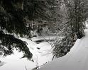 IMG_2086