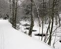 IMG_2089
