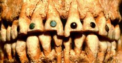 Mayan teeth